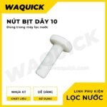 nut bit day 10
